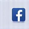 Icone Facebook