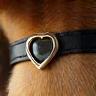 Médaillon cœur sur collier de chien